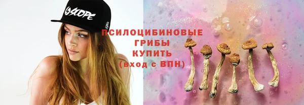 2c-b Белоозёрский