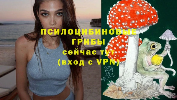 соль курить ск Белокуриха