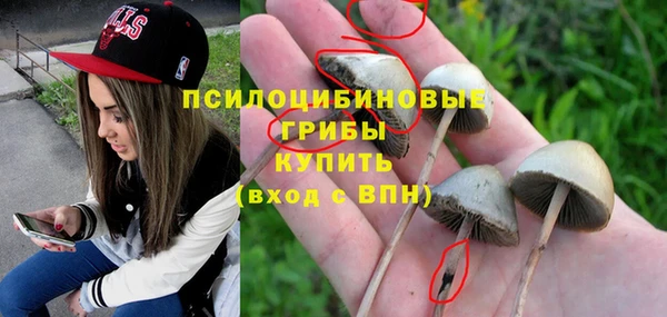 2c-b Белоозёрский