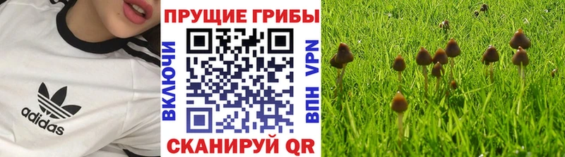 Галлюциногенные грибы ЛСД  Нарткала 